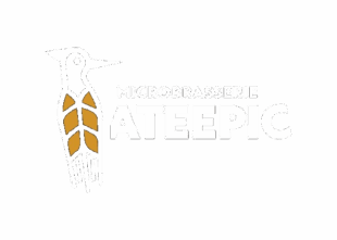 Ateepic